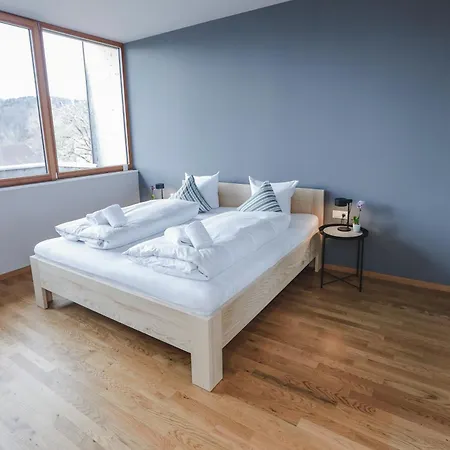 Fantastische Penthousewohnung Mit 100 M2 Klimatisiert Appartement Klaus (Vorarlberg)