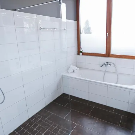 Fantastische Penthousewohnung Mit 100 M2 Klimatisiert * Klaus (Vorarlberg)